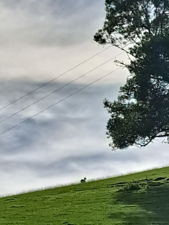 Ausblick Naturparkhotel Adler