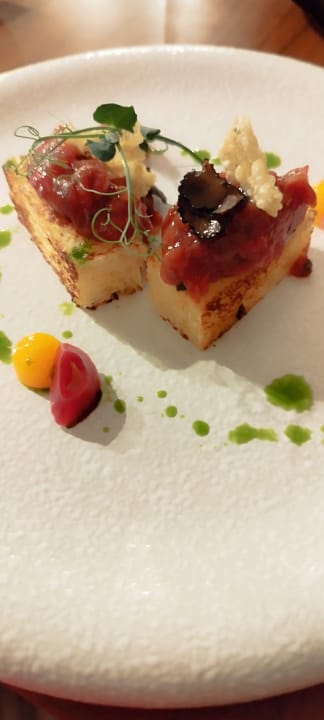 Gastro Acanthus Cennet Barut Collection