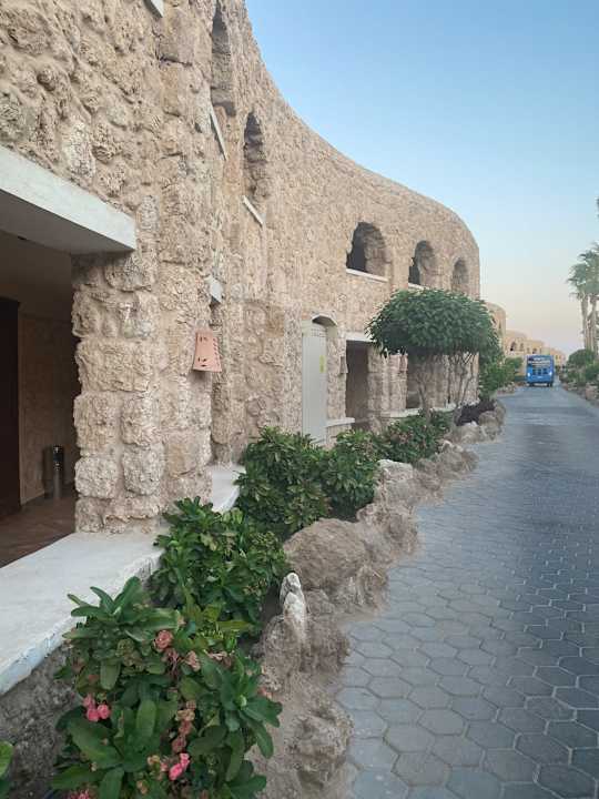 Zimmer Pickalbatros Citadel Resort