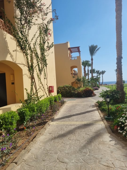 Gartenanlage Steigenberger Coraya Beach - Adults only