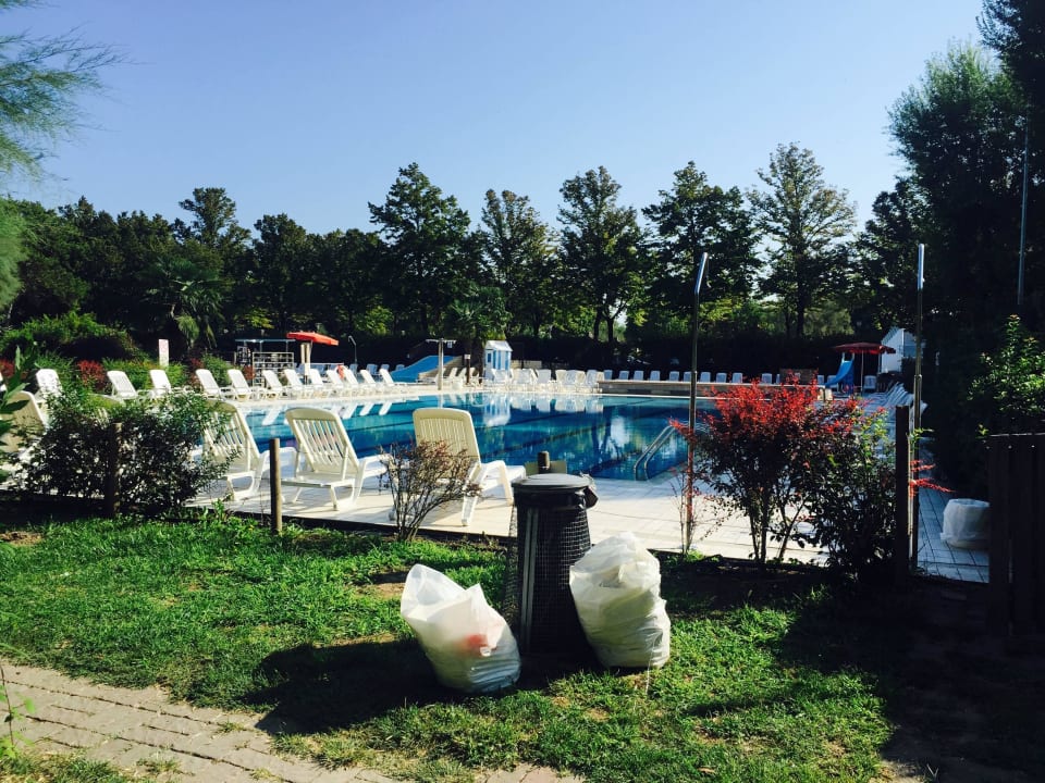 Der Schwimmerpool Camping Sabbiadoro