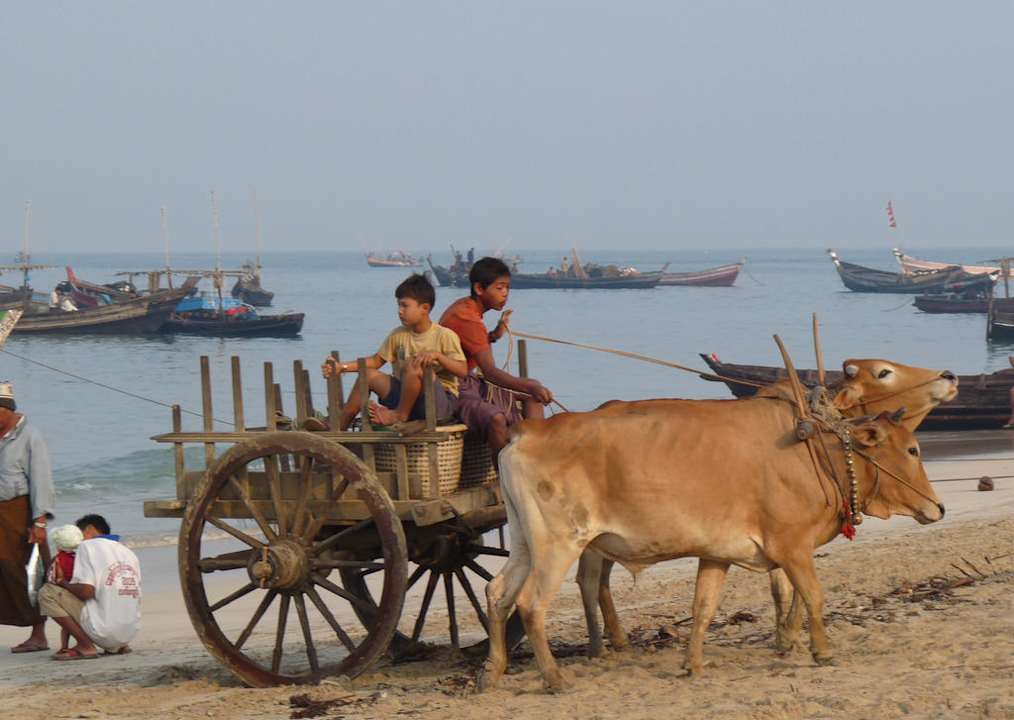 Ochsenkarren am Strand Aureum Palace Hotels & Resorts Ngapali