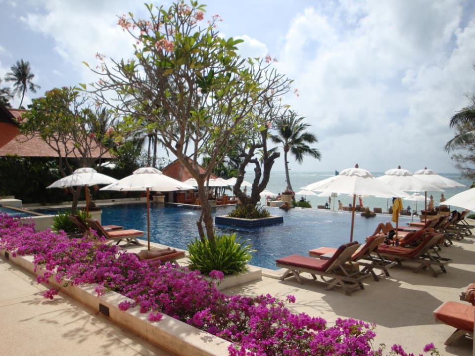 Pool Renaissance Koh Samui Resort & Spa