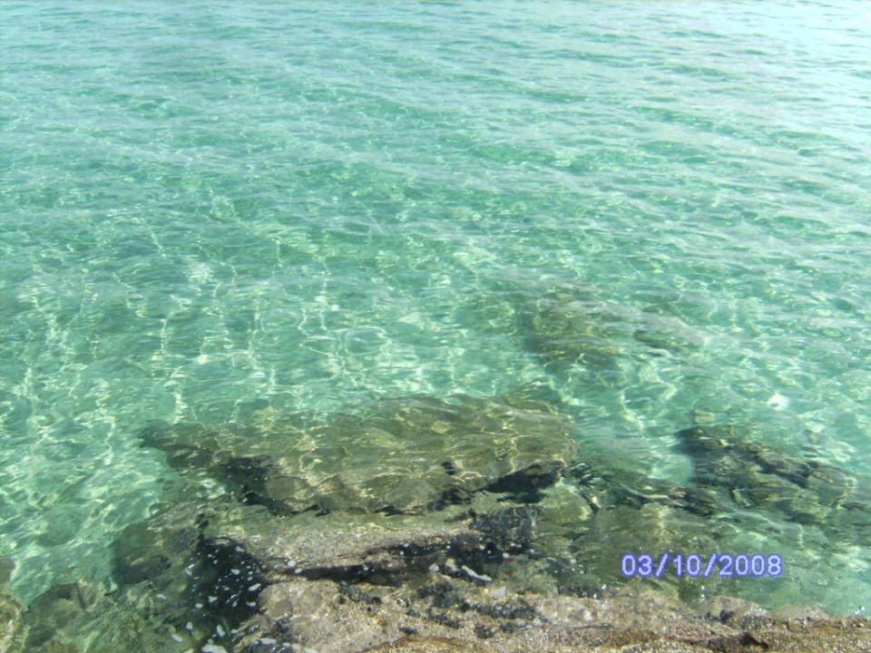 So klar war das Meerwasser Hotel Dionysos