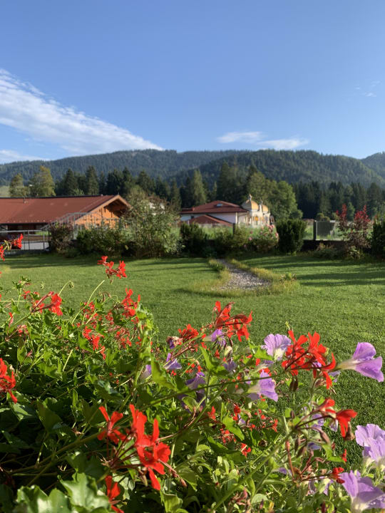 Ausblick Wohlfühlresort Peternhof