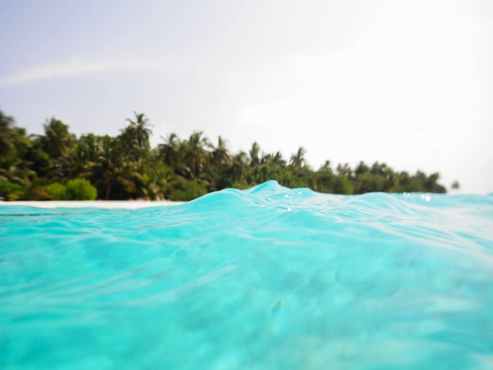 Blick aus dem wasser zum Strand Meeru Maldives Resort Island