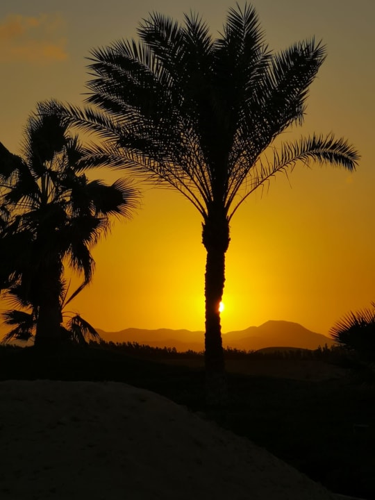 Ausblick Three Corners Sea Beach Resort
