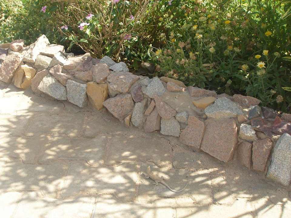 Wegbegleiter Charmillion Sea Life Resort