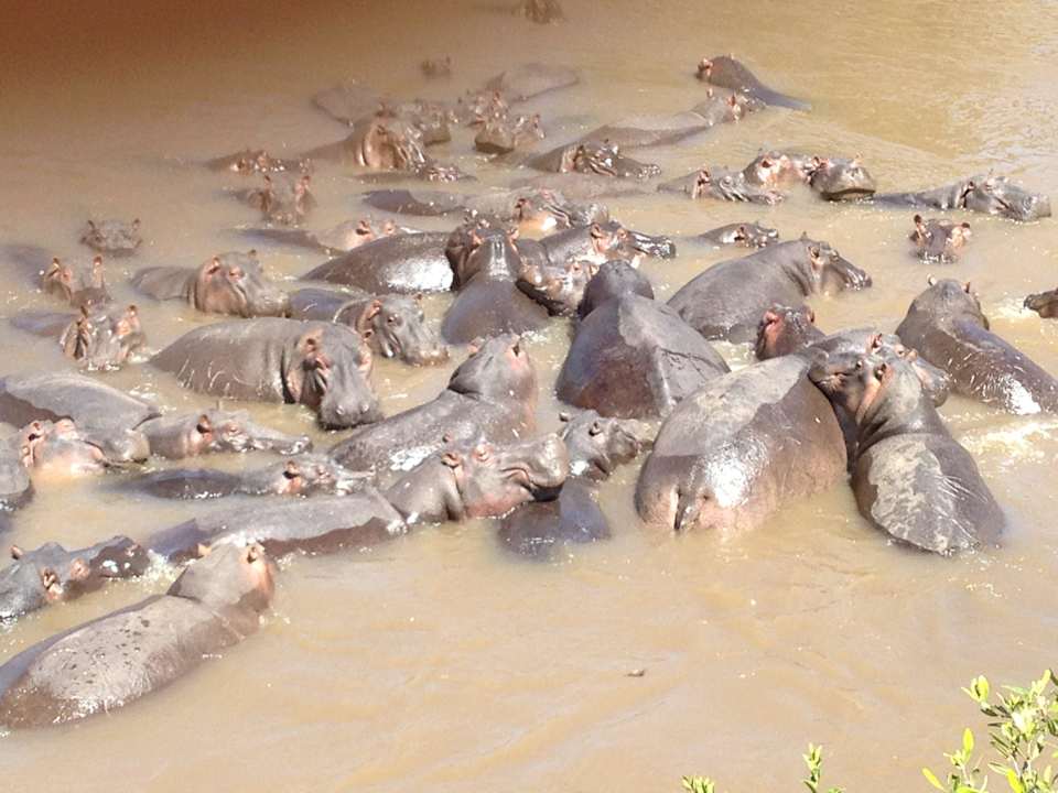 Marafluß Royal Mara Safari Lodge