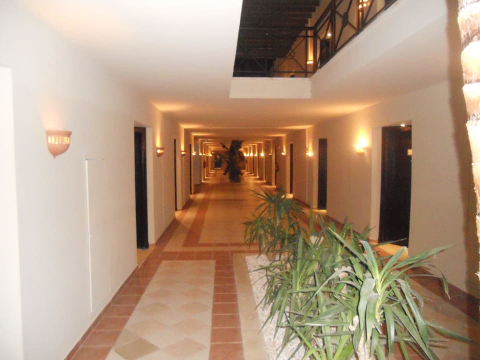 Hier geht es zu den Doppelzimmern Superior JAZ Fanara Resort