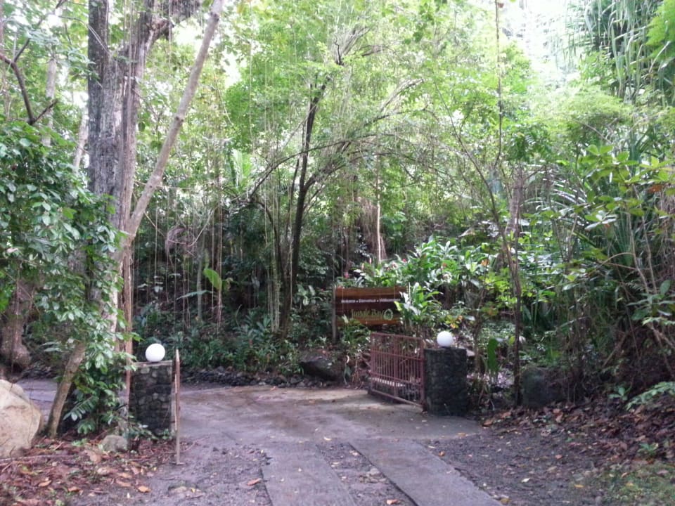 Einfahrt Hotel Jungle Bay Resort & Spa