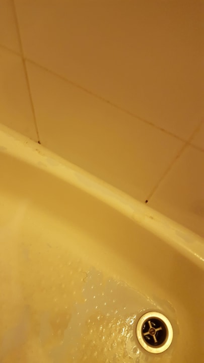 Abgesplitterte Farbe Hotel Enziana Wien