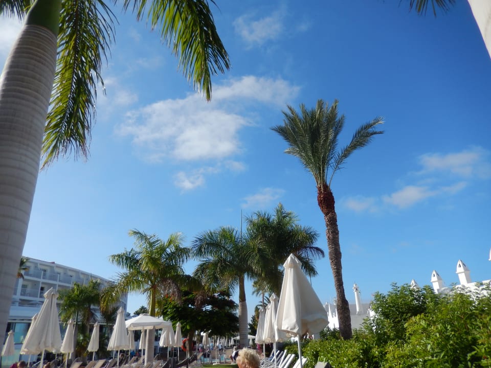 Gartenanlage Sunprime Atlantic View