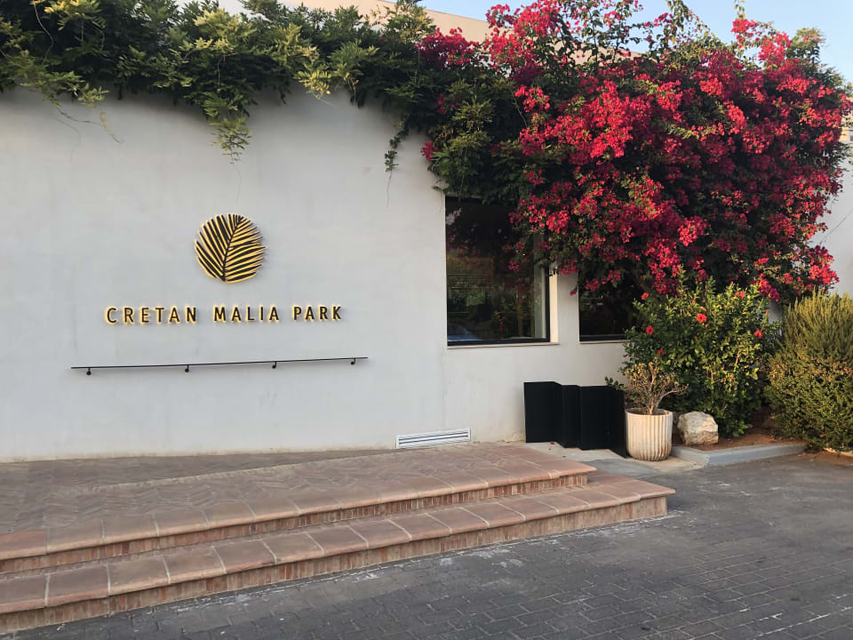 Außenansicht Phãea Cretan Malia