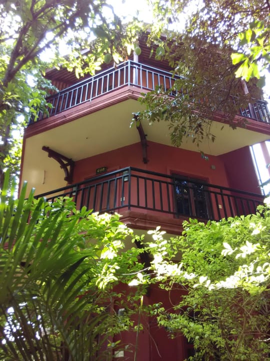 Wohnen wie im Baumhaus Hotel Spring Valley Resort