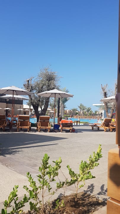 Pool Saadiyat Rotana Resort &  Villas