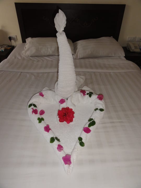 Zimmer Three Corners Sea Beach Resort