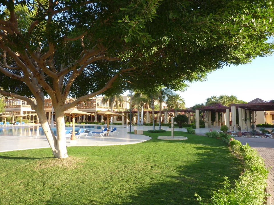 Grün ROBINSON SOMA BAY