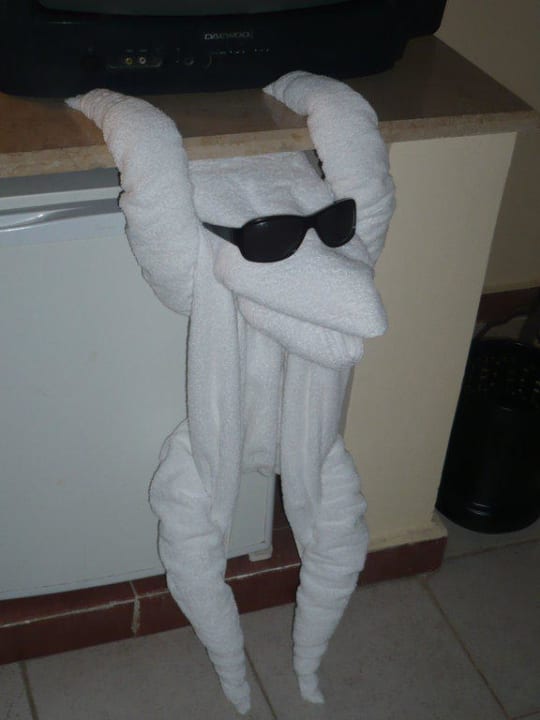 Noch eine Überraschung! Jaz Makadi Oasis Resort