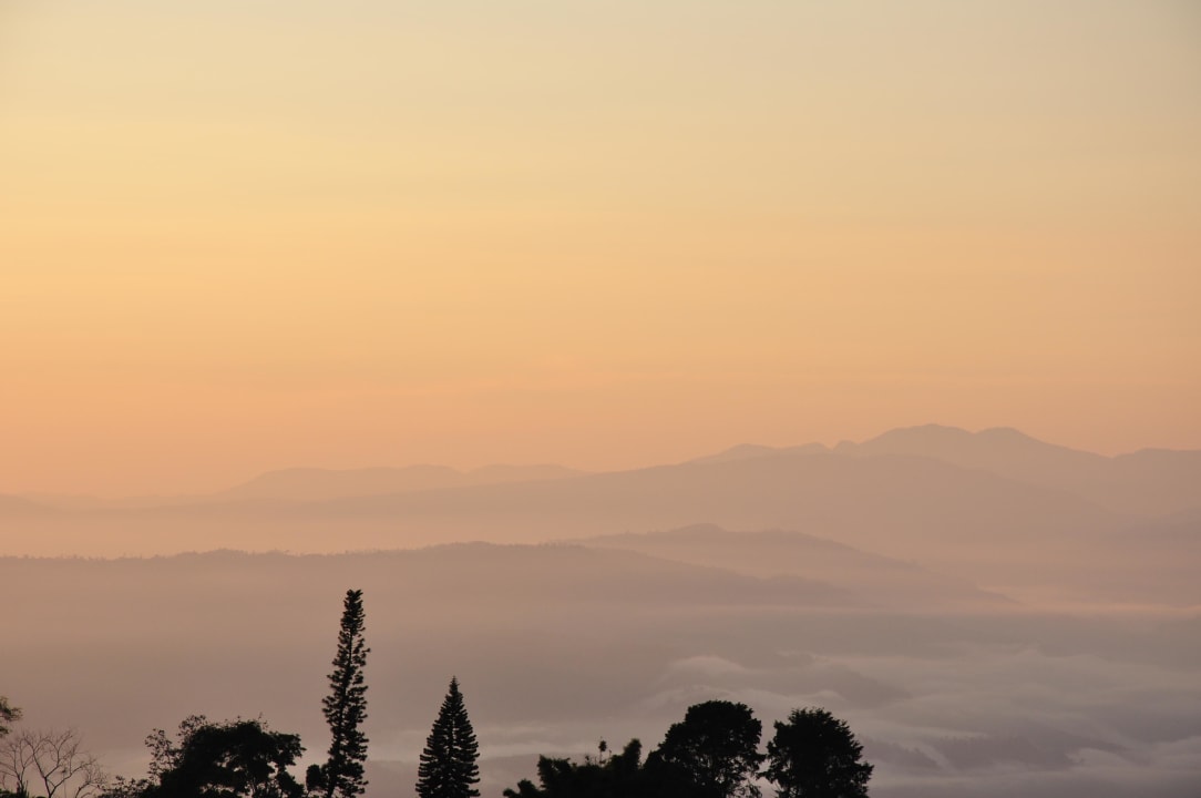 Blick von der Terrasse am Morgen Hotel Guayabo Lodge