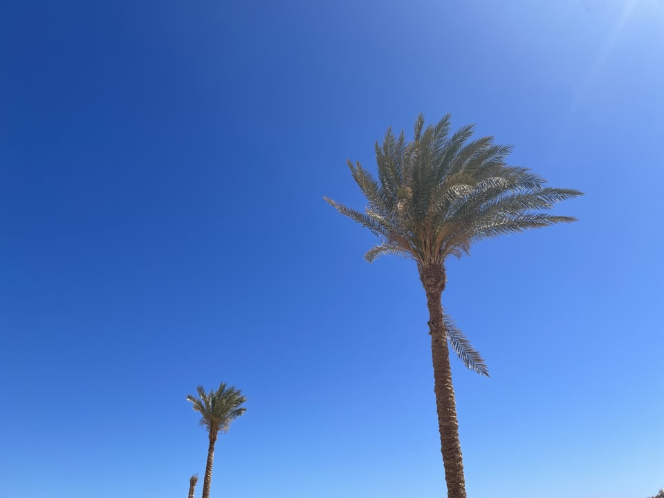 Ausblick True Beach Resort