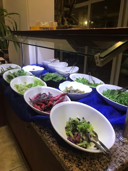 Gastro Hotel Grand Viking