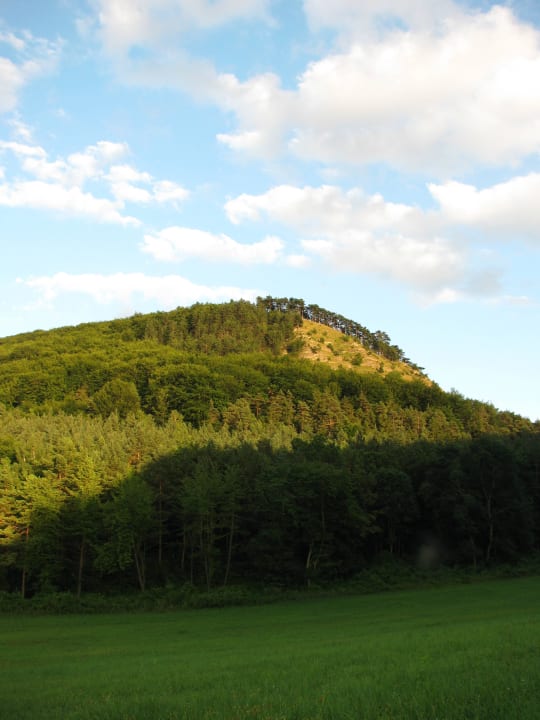Natur rund um Ferienwohnung Hoff