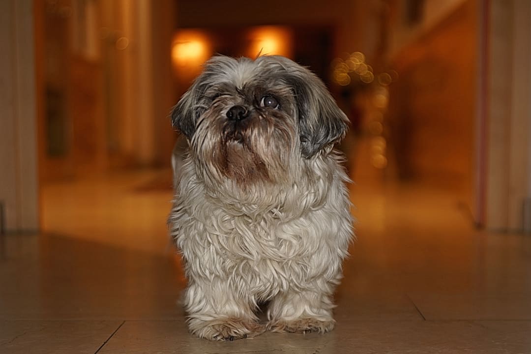 Sonstiges Familotel Lärchenhof