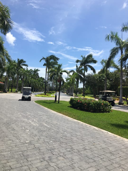 Sonstiges Iberostar Selection Paraiso Lindo