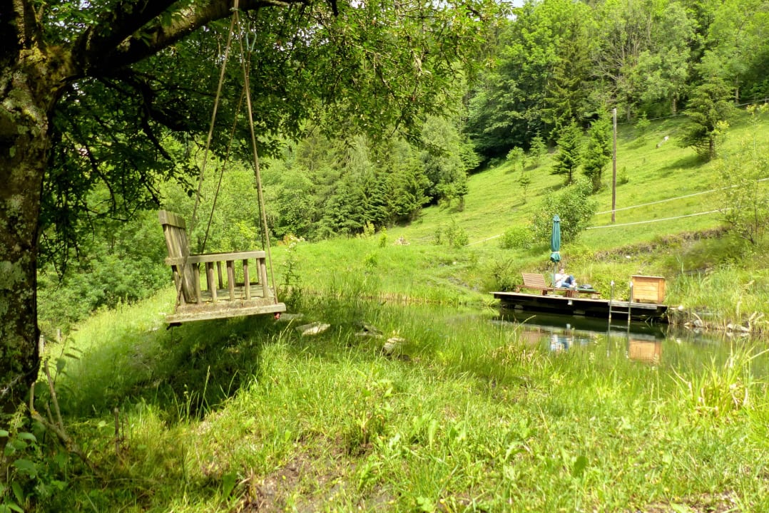 Schwimmteich LUXGUT - OLIVIA