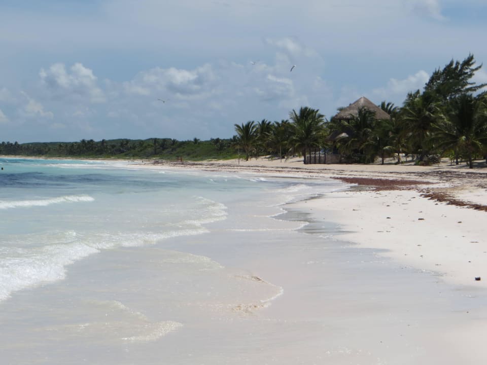 Traumstarnd Dreams Tulum Resort & Spa
