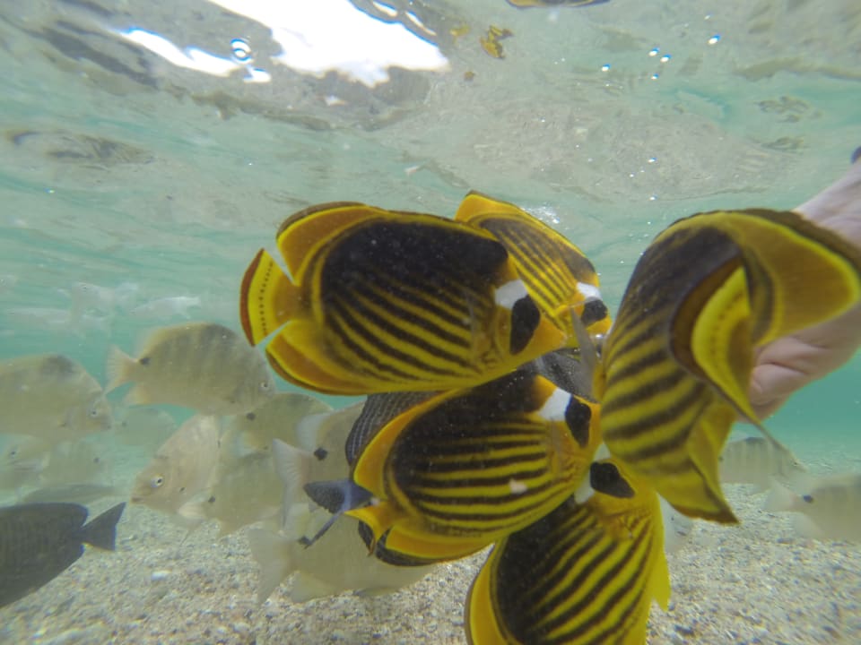 Strand Three Corners Sea Beach Resort