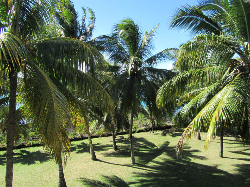 Ausblick Zimmer 157 Shandrani Beachcomber Resort & Spa