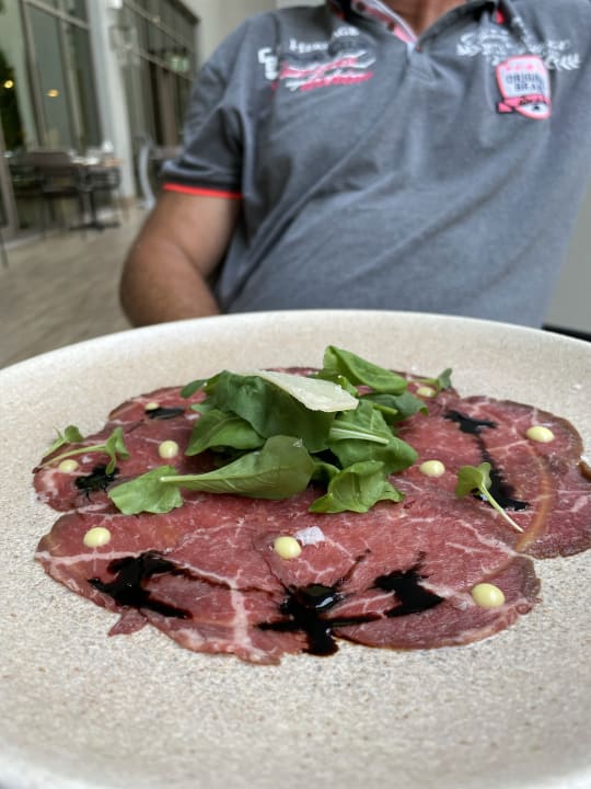 Gastro Acanthus Cennet Barut Collection