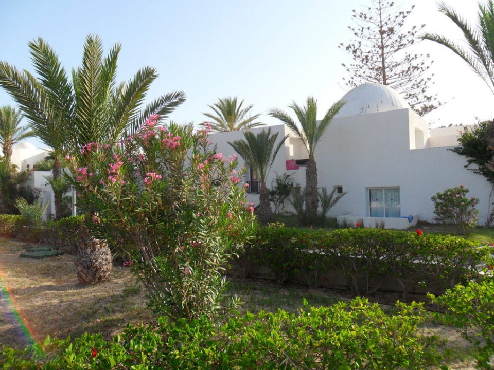 Auf dem Weg zum Bungalow Hotel El Mouradi Djerba Menzel