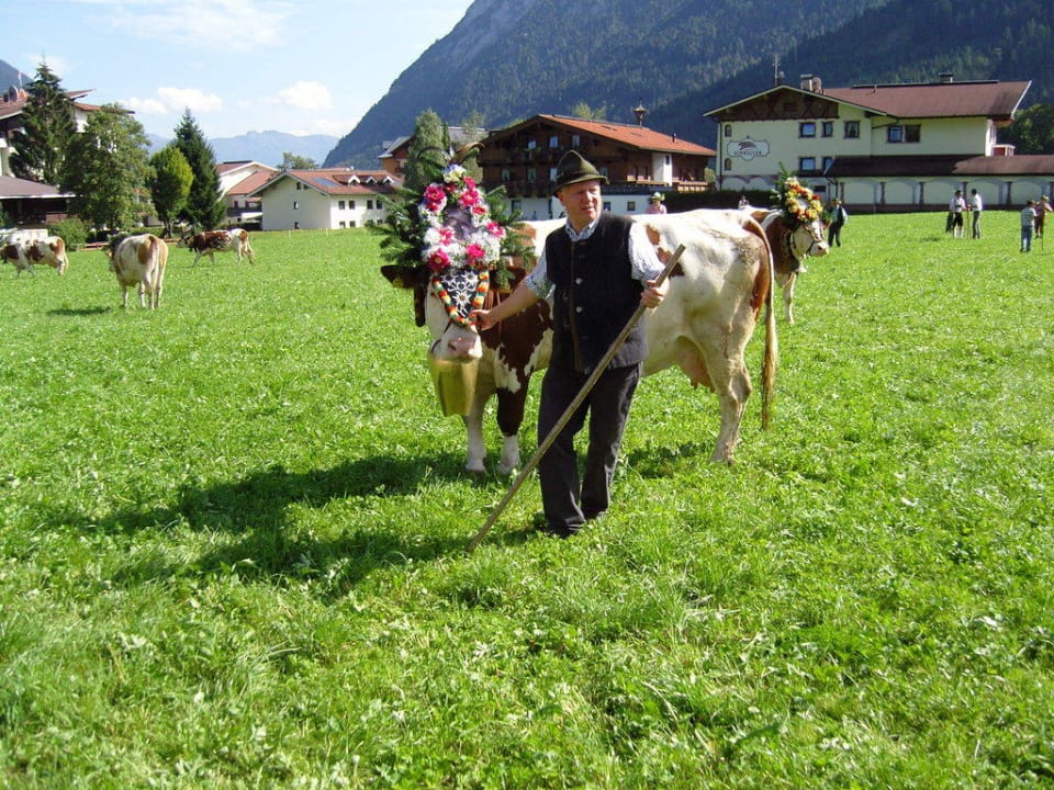 Chef beim Almabtrieb Das Karwendel - Ihr Wellness Zuhause am Achensee