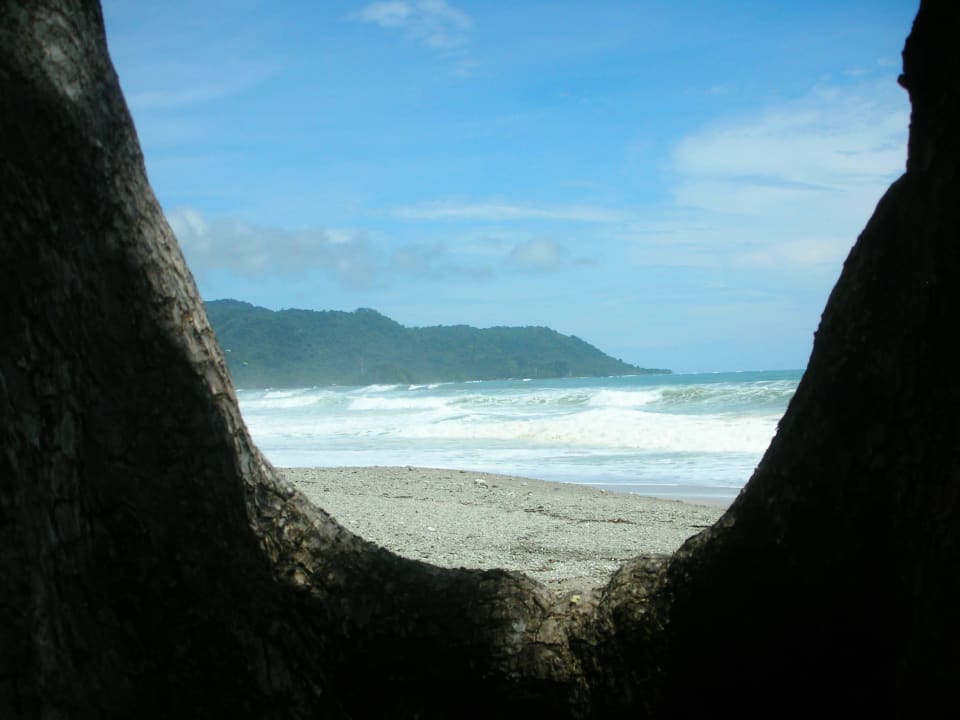 Blick auf den Pazifik Hotel Tropico Latino