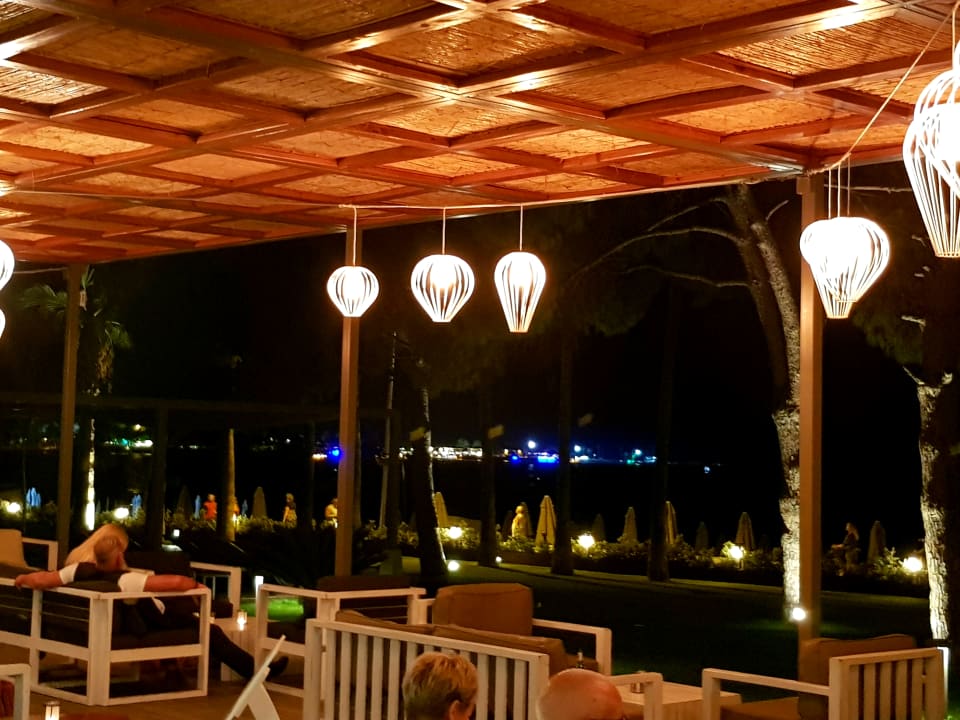 Gastro Acanthus Cennet Barut Collection