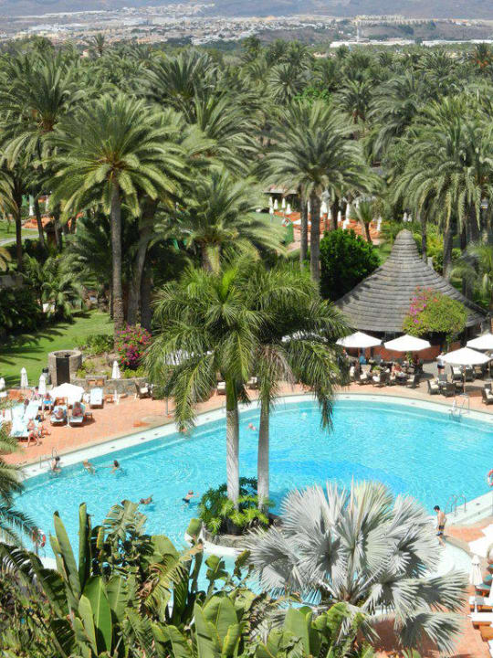 Aussicht von der 7. Etage auf Pool und Garten Seaside Hotel Palm Beach