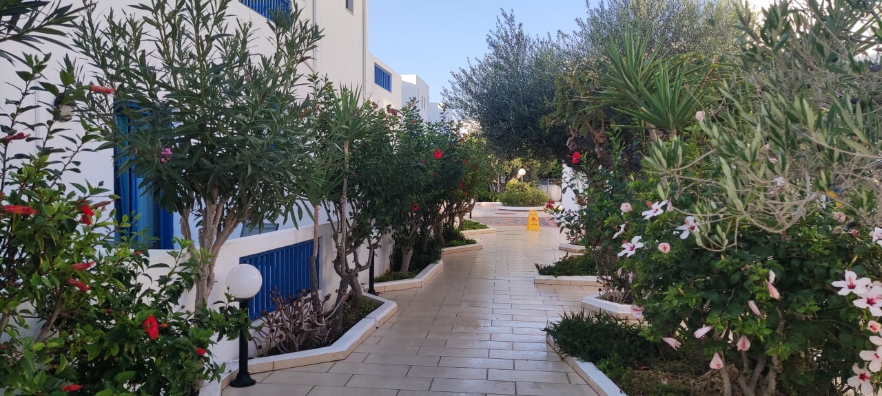 Gartenanlage Hotel Hara Ilios Village