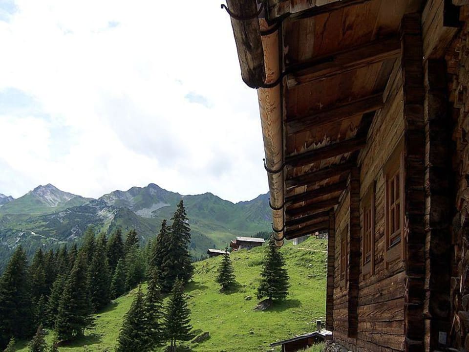 Tux Bichlalm Hotel Alpin Spa Tuxerhof