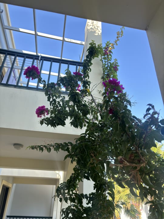 Zimmer Hotel Tigaki Beach