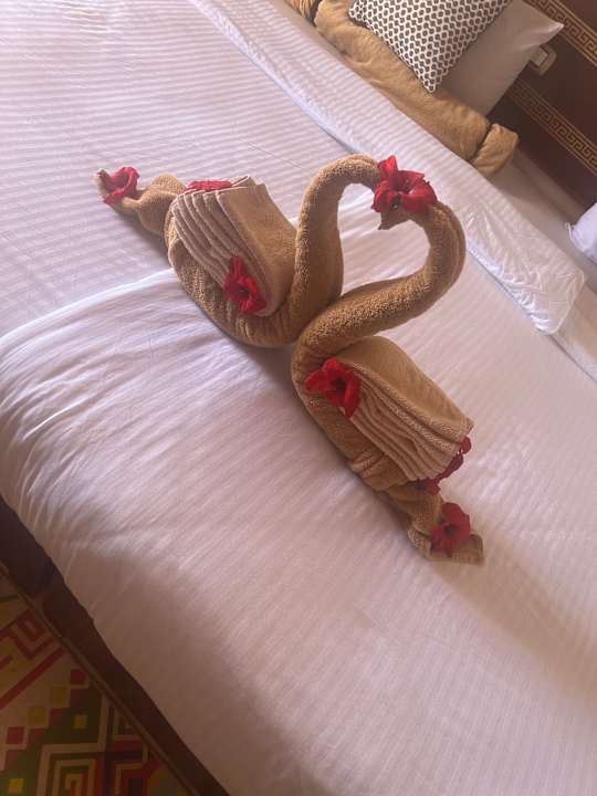 Zimmer Beach Safari Nubian Resort