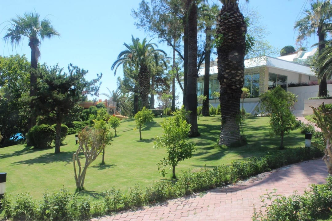 Blick in den Garten. Im Hintergrund der Indoor Poo Side Star Elegance