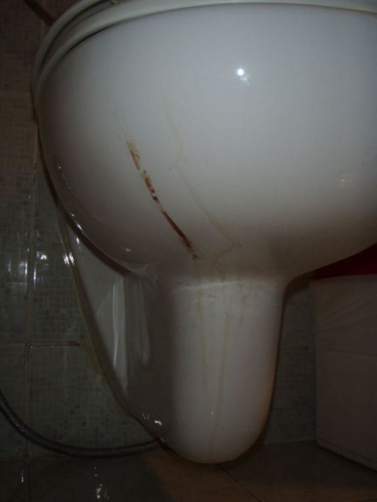 Verdreckters Klo nach dem Einchecken entdeckt! Ghazala Beach