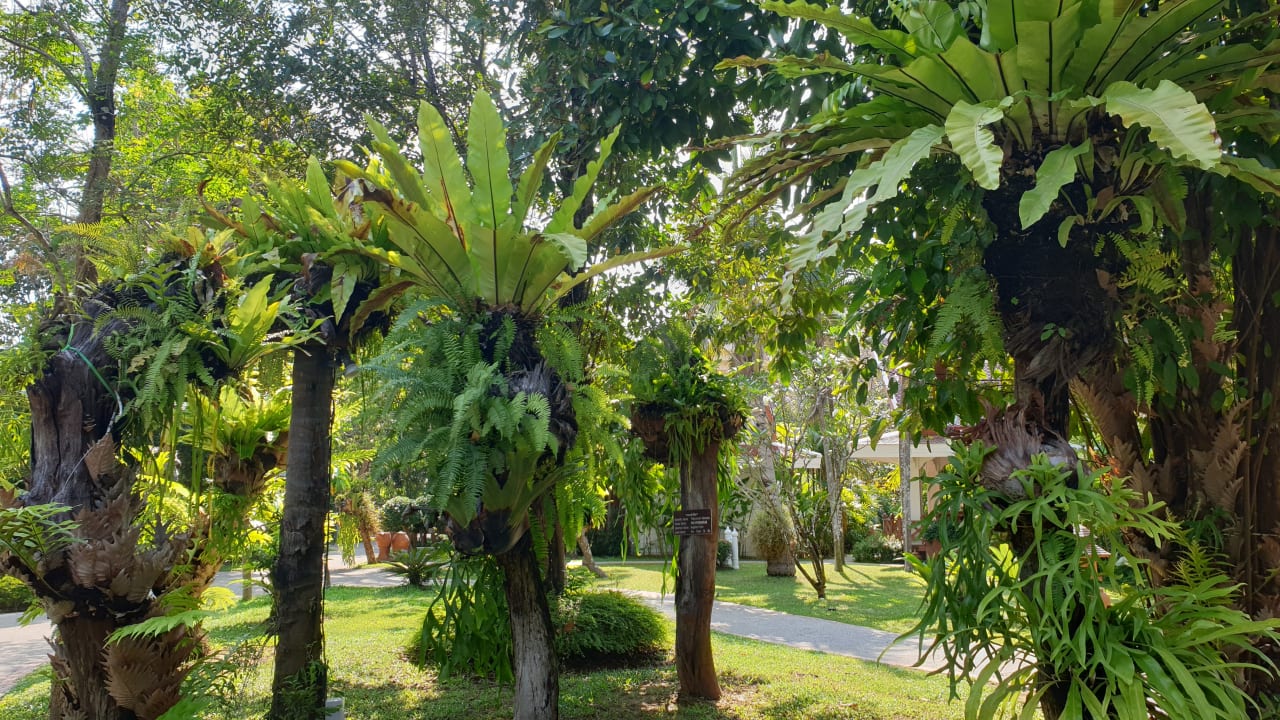 Gartenanlage Santhiya Tree Koh Chang Resort