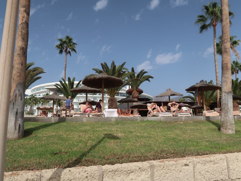 Garten Hotel Riu Palace Tenerife