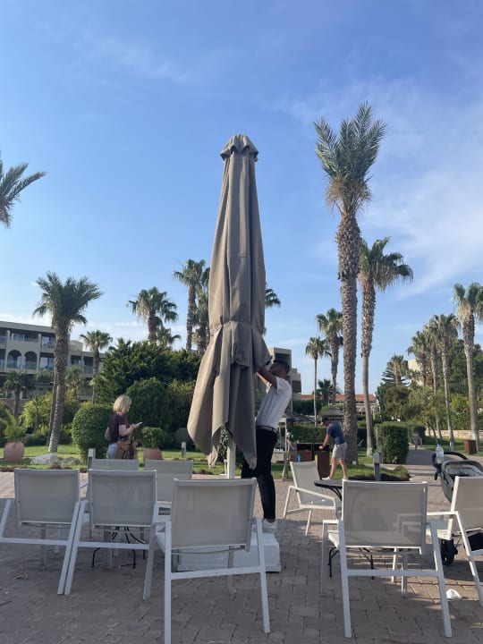 Gartenanlage Atlantica Aegean Blue