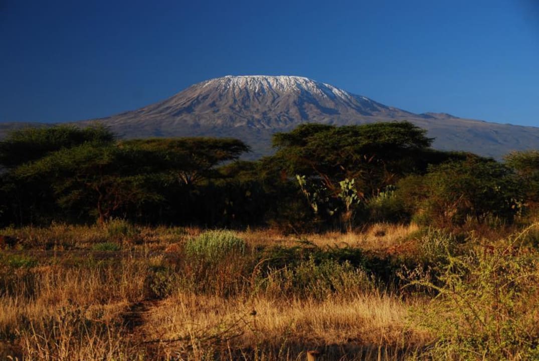 Der Kili früh um 6.00 Uhr Hotel Amboseli Sopa Lodge