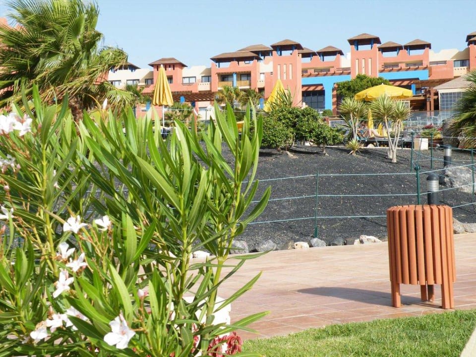 Poollandschaft wirklich sehr schön H10 Tindaya